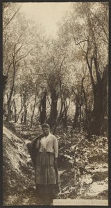 Messe - Olive Grove - James W. Holcombe