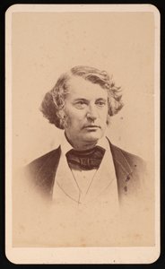 Portrait de Charles Sumner 1811-1874, avant 1874 - James Wallace Black