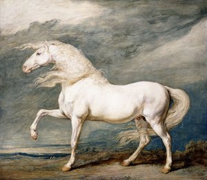 Adonis, le cheval préféré du roi George III