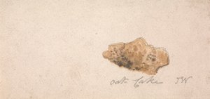 Un gâteau d