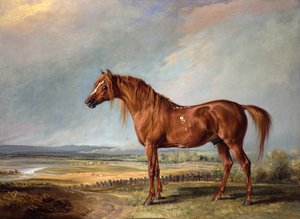 Copenhague, le cheval préféré de Wellington, dans un paysage - James Ward