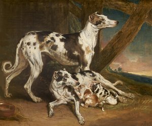 Chiens dalmatiens - James Ward