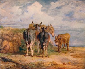 Ânes, vers 1831, 1904 - James Ward
