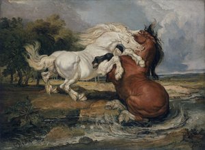Chevaux combattants - James Ward