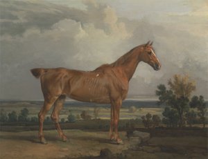 Chasseur dans un paysage - James Ward