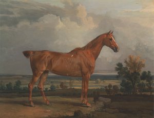 Chasseur dans un paysage - James Ward