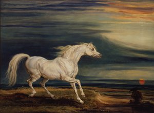 Marengo, le cheval arabe monté par Napoléon Bonaparte à la bataille de Waterloo