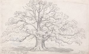 Le grand chêne de M. Howard, 5 août 1820 - James Ward