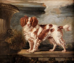 Portrait de Dash, un épagneul favori, propriété de Lady Frances Vane-Tempest - James Ward