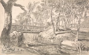 Paysage de rivière avec chute d