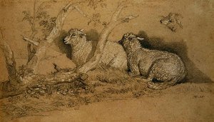 Moutons se reposant dans un bosquet boisé et étude de la tête d