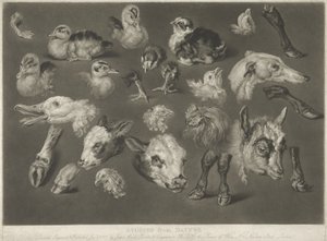 Études de la nature, 1807 - James Ward