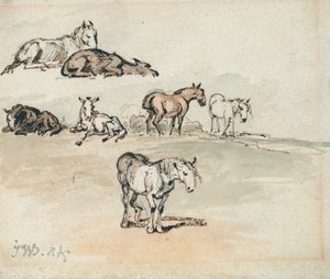 Études de chevaux
