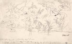 Études de Plantes, 2 Août 1815 - James Ward
