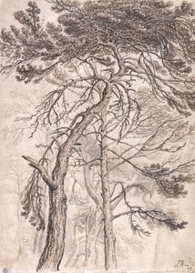 Étude des arbres - James Ward
