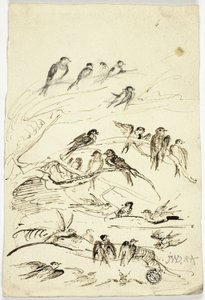 Hirondelles avant leur départ - James Ward