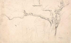 Étude sur les arbres - James Ward