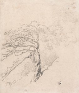 Arbre sur une colline - James Ward