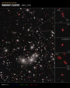 Protocluster Galactique - James Webb Space Telescope (NASA)