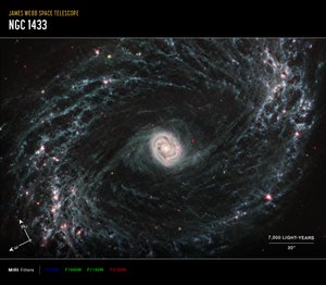 NGC 1433 - James Webb Space Telescope (NASA)