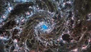 Le Cœur de la Galaxie Fantôme - James Webb Space Telescope (NASA)