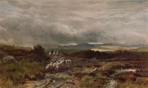 Route de montagne, Capel Curig, nord du Pays de Galles - James William Whitaker