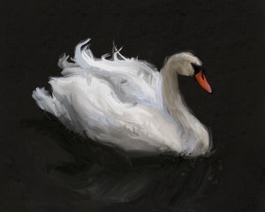 Un cygne blanc gracieux