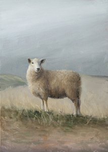 Moutons de pâturage