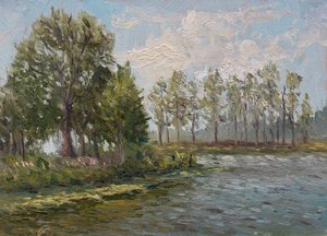 Arbres verts au bord de la rivière