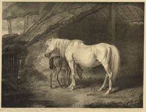 Primevère et poulain, de Chevaux célèbres, une série de quatorze gravures de courses publiées par l