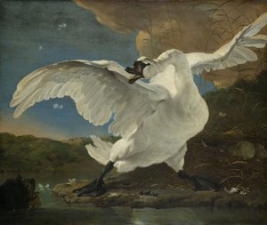 Le cygne menacé, c.1650