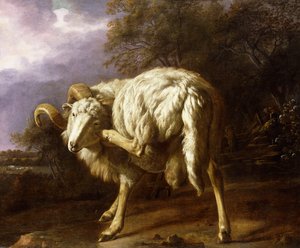 Un bélier dans un paysage boisé - Jan Baptist Weenix