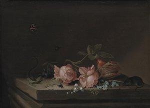 Fleurs - Jan Baptist van Fornenburgh