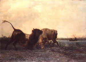 Taureaux se battant - Jan Bedys Tom