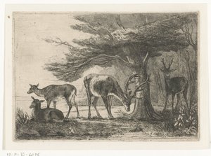 Lisière de forêt avec des cerfs - Jan Bos Wz.