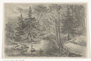 Chemin forestier près d