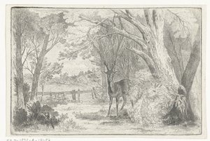 Paysage de parc avec cerf - Jan Bos Wz.