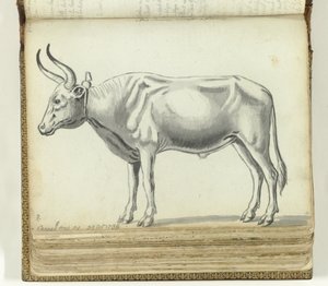 Chariot du Cap - Jan Brandes