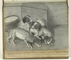 Chiens