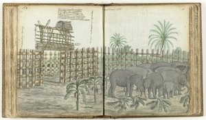 Enclos de jeu et de broyage des éléphants - Jan Brandes