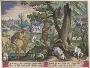 Chasse au cerf avec des chiens - Jan Collaert