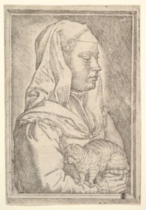 Fille avec un chat - Jan Cornelisz Vermeyen