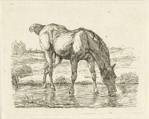 Cheval buvant - Jan Dasveldt