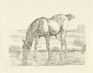 Cheval buvant - Jan Dasveldt