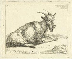 Chèvre