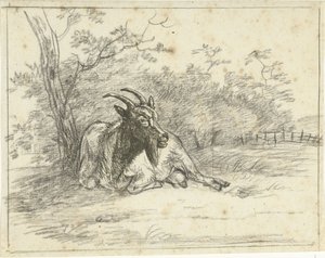 Chèvre couchée - Jan Dasveldt