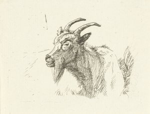 Chèvre couchée - Jan Dasveldt