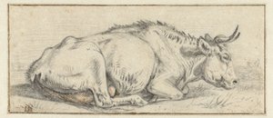 Vache couchée