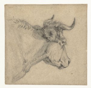 Tête de bœuf - Jan Dasveldt