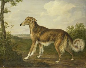 Lévrier sibérien - Jan Dasveldt